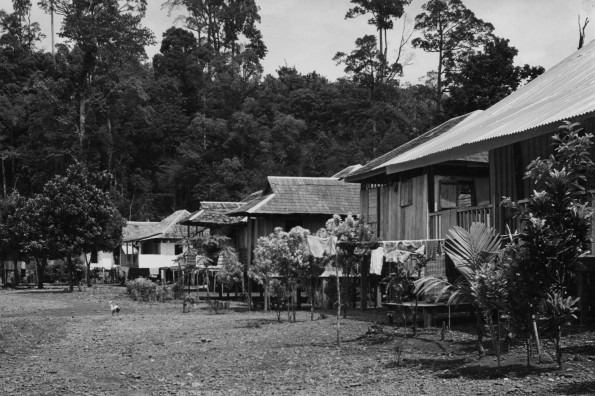 New village, Kampong Bunga, Sarawak, as result of Adventist work and instruction.