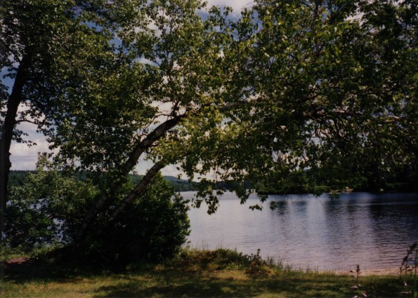 Millen Pond near Cyrus Farnsworth home