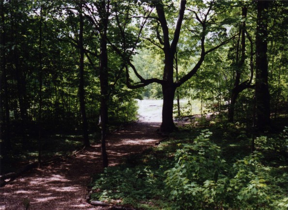 Trail toward Ascension Rock, near the Miller farm, Low Hapton, New York (near Whitehall)