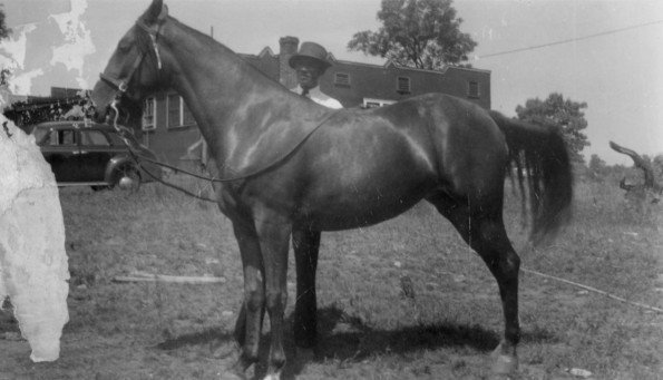 Horse that may be connected to Hinsdale Sanitarium and Hospital