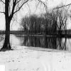 Emmanuel Missionary College Campus Scenes (Winter) (River)