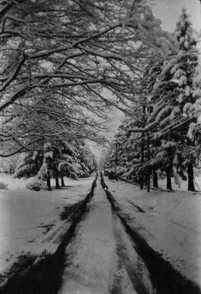 Emmanuel Missionary College Campus Scenes (Winter)