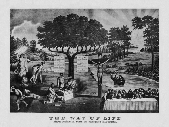 The way of life [photograph]  : from paradise lost to paradise restored James White