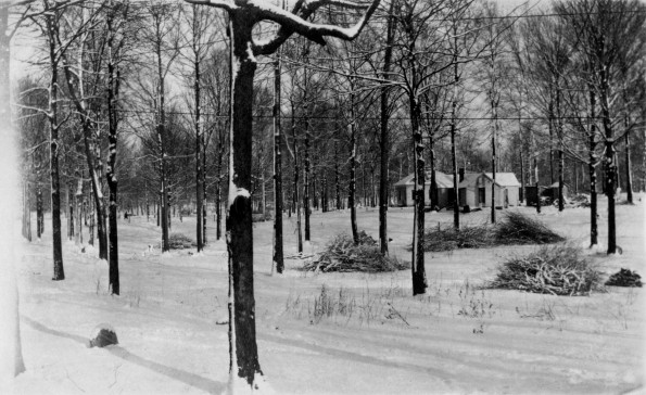 Emmanuel Missionary College Campus Scenes (Winter) (Grove)