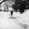 Andrews University Campus Scenes (Winter)