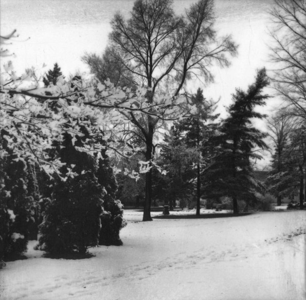 Emmanuel Missionary College Campus Scenes (Winter)