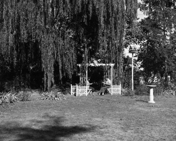 Andrews University Campus Scenes (Wooden Swings)