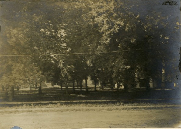 [Court House grounds in Berrien Springs, Michigan, in 1901]