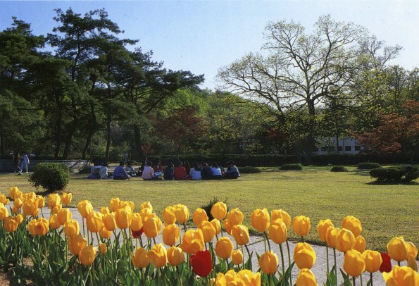 [Springtime on the campus of Korean Sahmyook University]