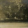 [Court House grounds in Berrien Springs, Michigan, in 1901]