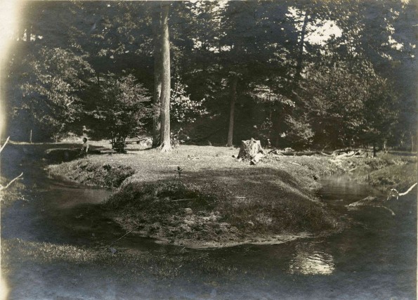 [Early Berrien Springs, Michigan, and Love Creek]