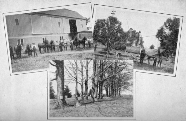[Horse teams, harvesting sugar, and spraying the pear orchard, all at Emmanuel Missionary College]